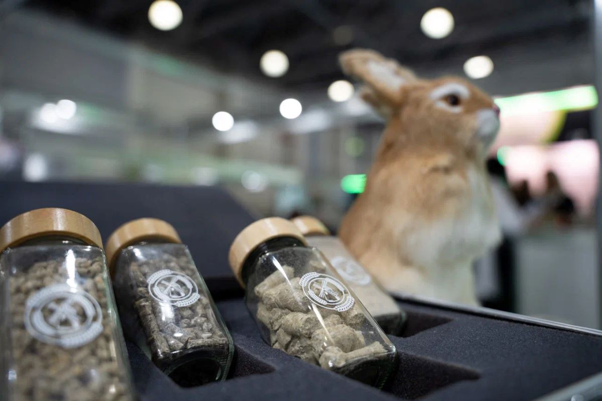 Фото: Александр Плонский / «Агроэксперт»