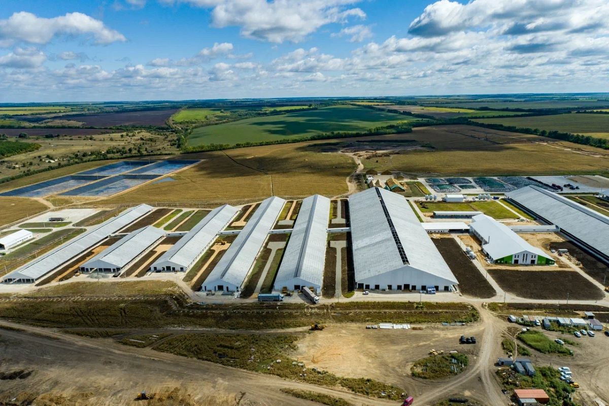 Фото предоставлено ГК "Агроэко"