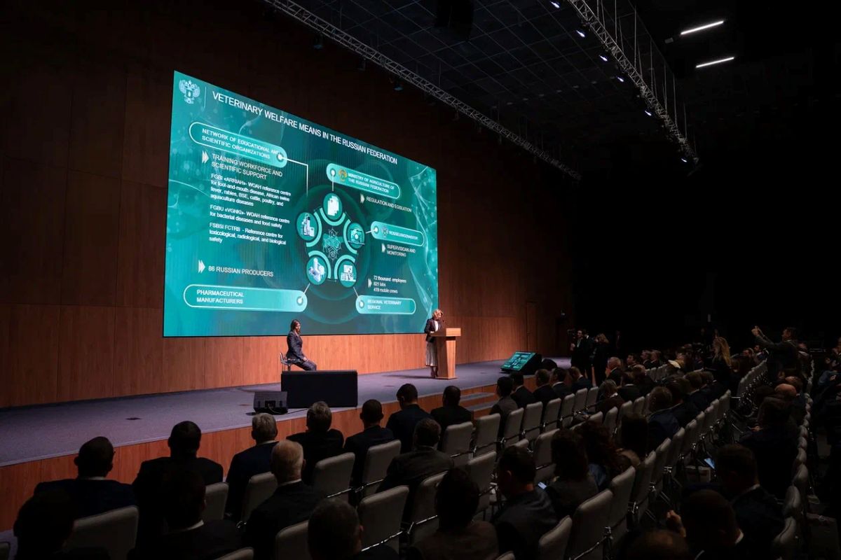 Фото: Александр Плонский / "Агроэксперт" 