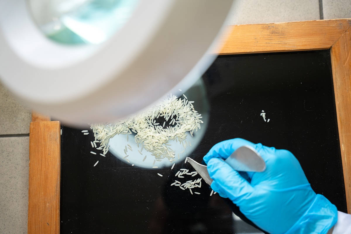 Фото: Александр Плонский / "Агроэксперт" 