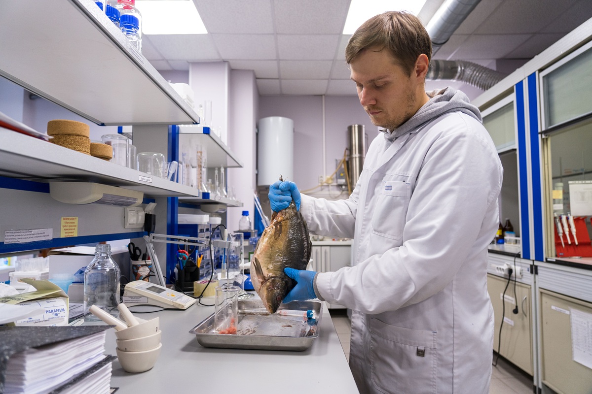 Фото: Александр Плонский / "Агроэксперт" 