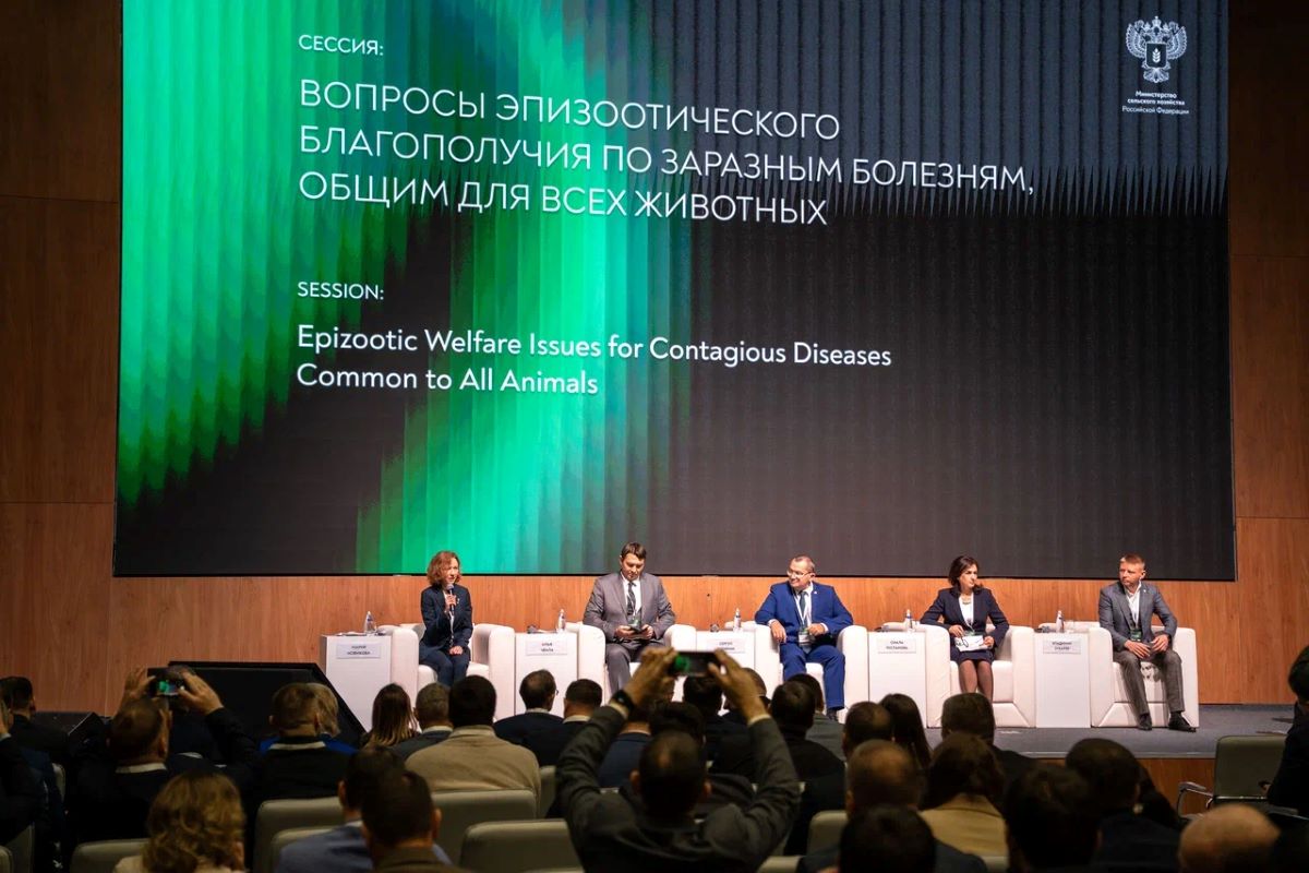 Фото: Александр Плонский / «Агроэксперт»