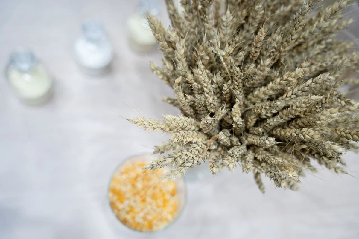 Фото: Александр Плонский / «Агроэксперт»