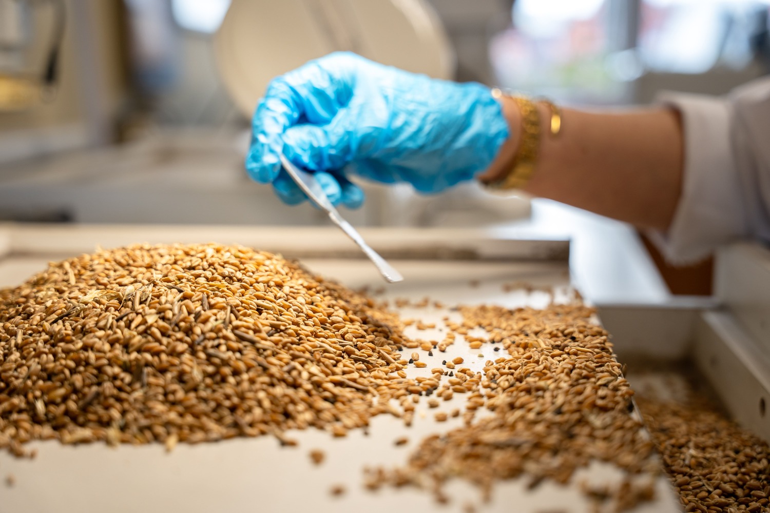 Фото: Александр Плонский / "Агроэксперт"