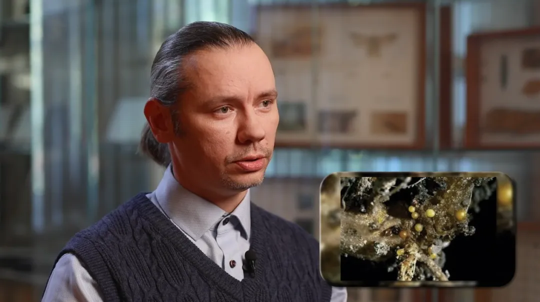 Евгений Бутов