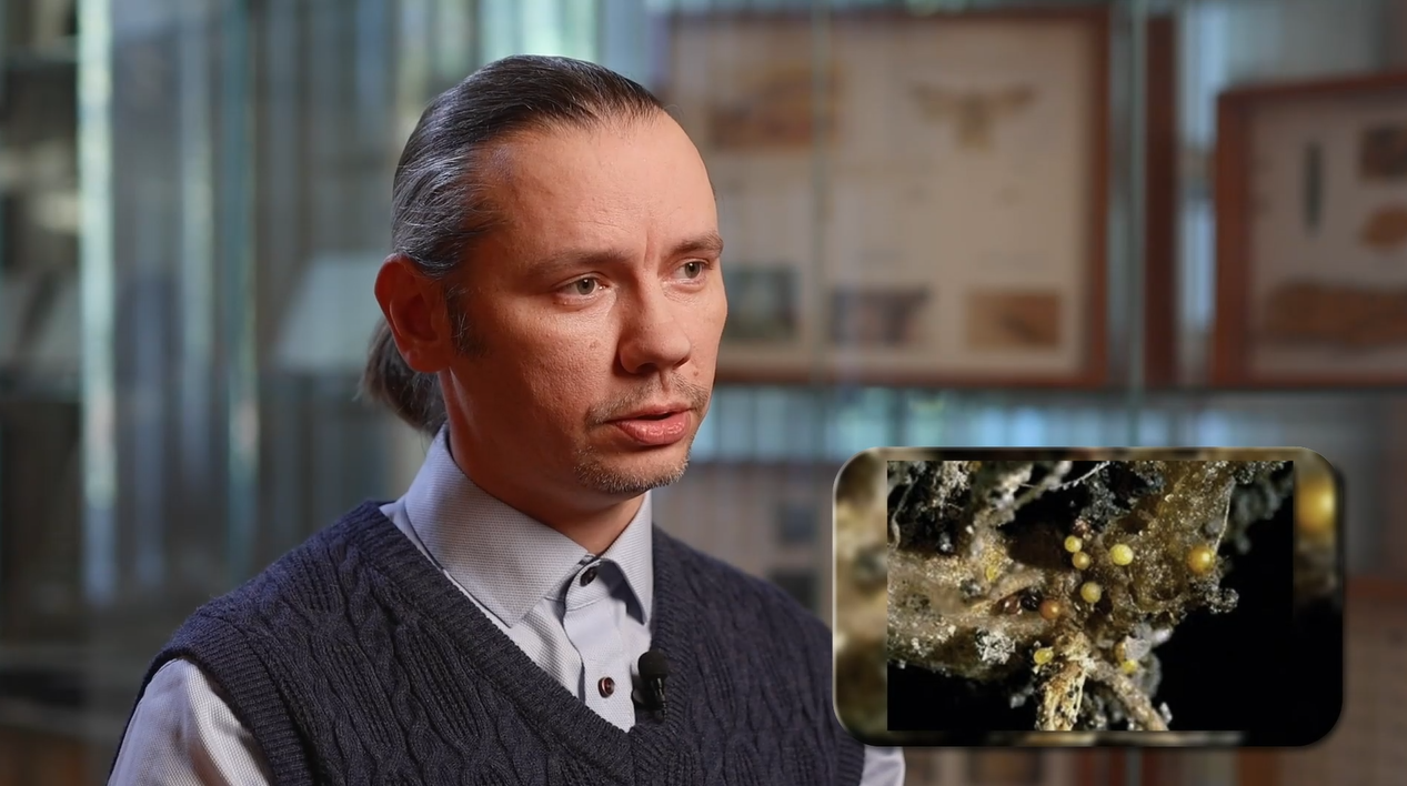 Евгений Бутов