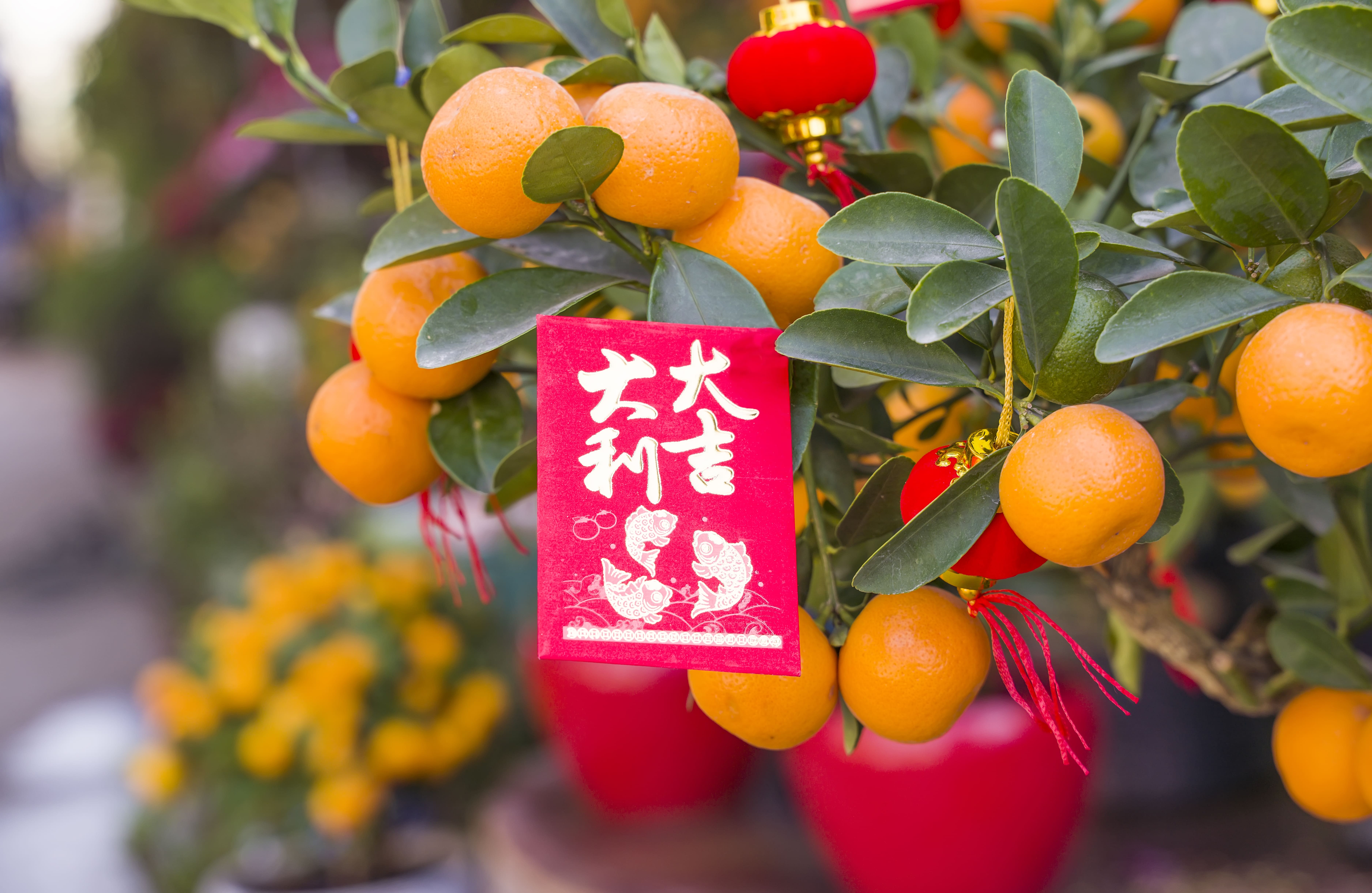 Фото: kynny / Getty Images