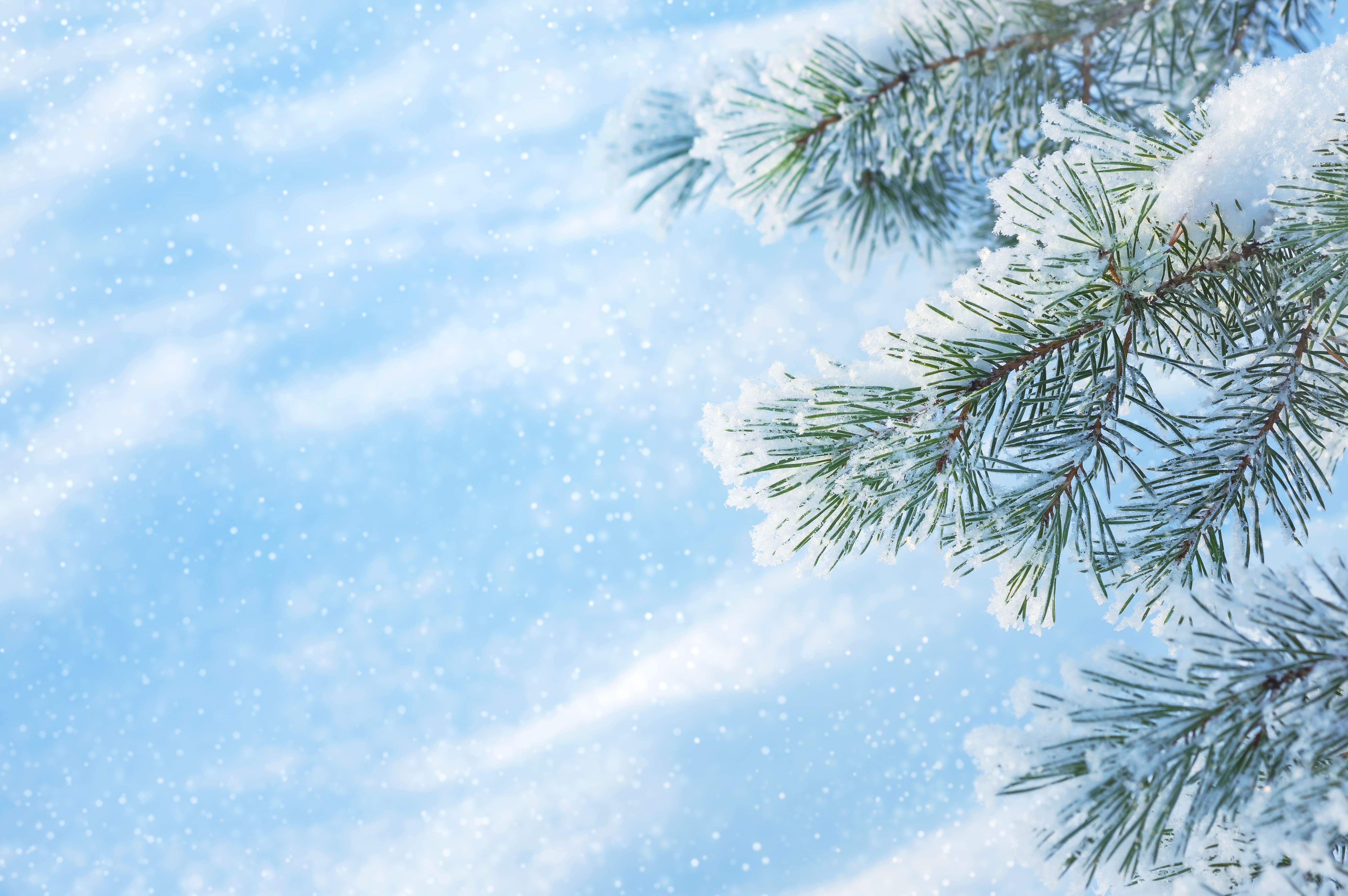 Фото: Leonid Ikan / Getty Images