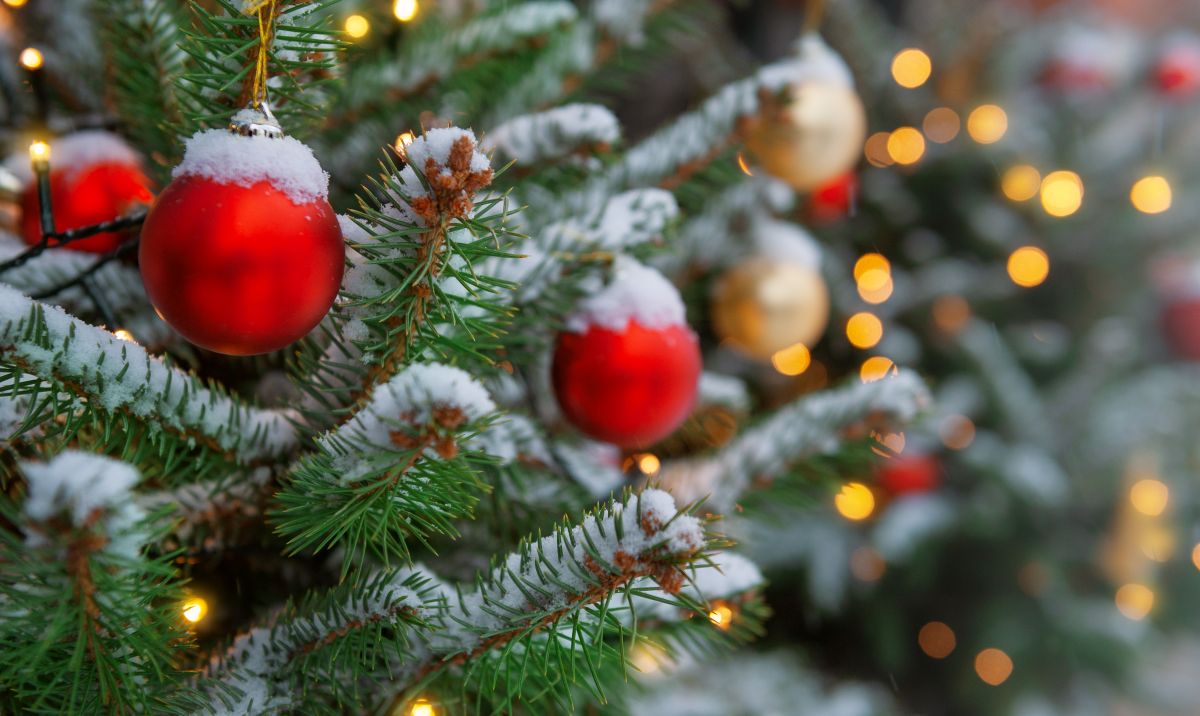 Фото: darkbird77 / GettyImages