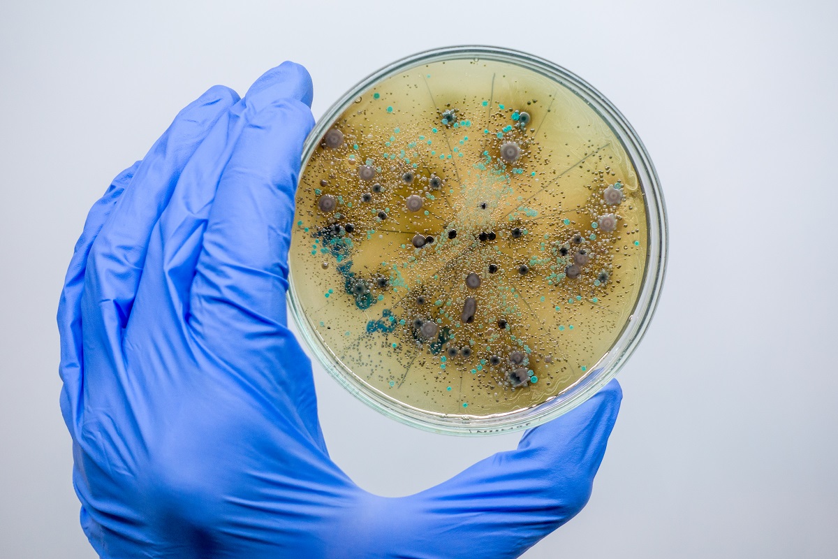 Фото: shutterstock