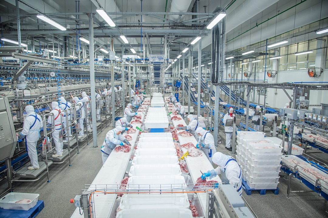 Фото: пресс-служба ГК "Агроэко"