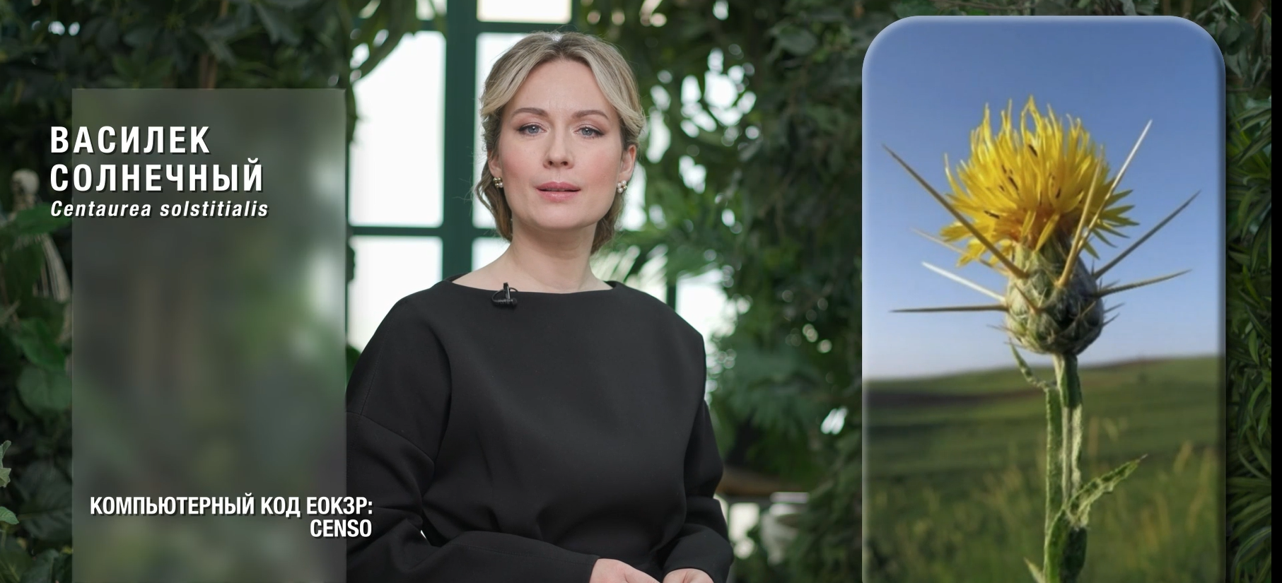 ВНИИКР Екатерина Николаева