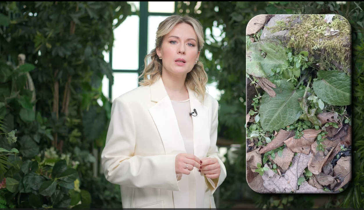 Екатерина Николаева