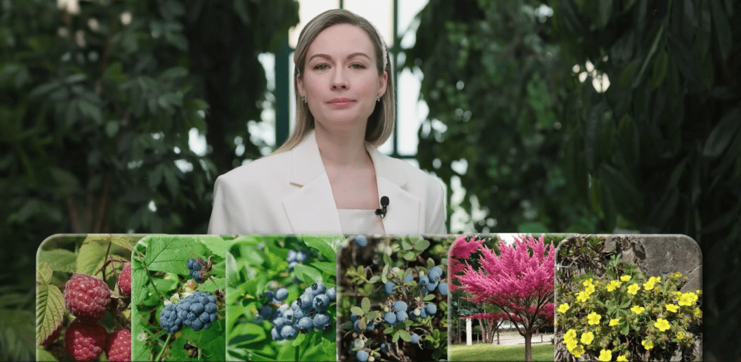 Екатрина Николаева