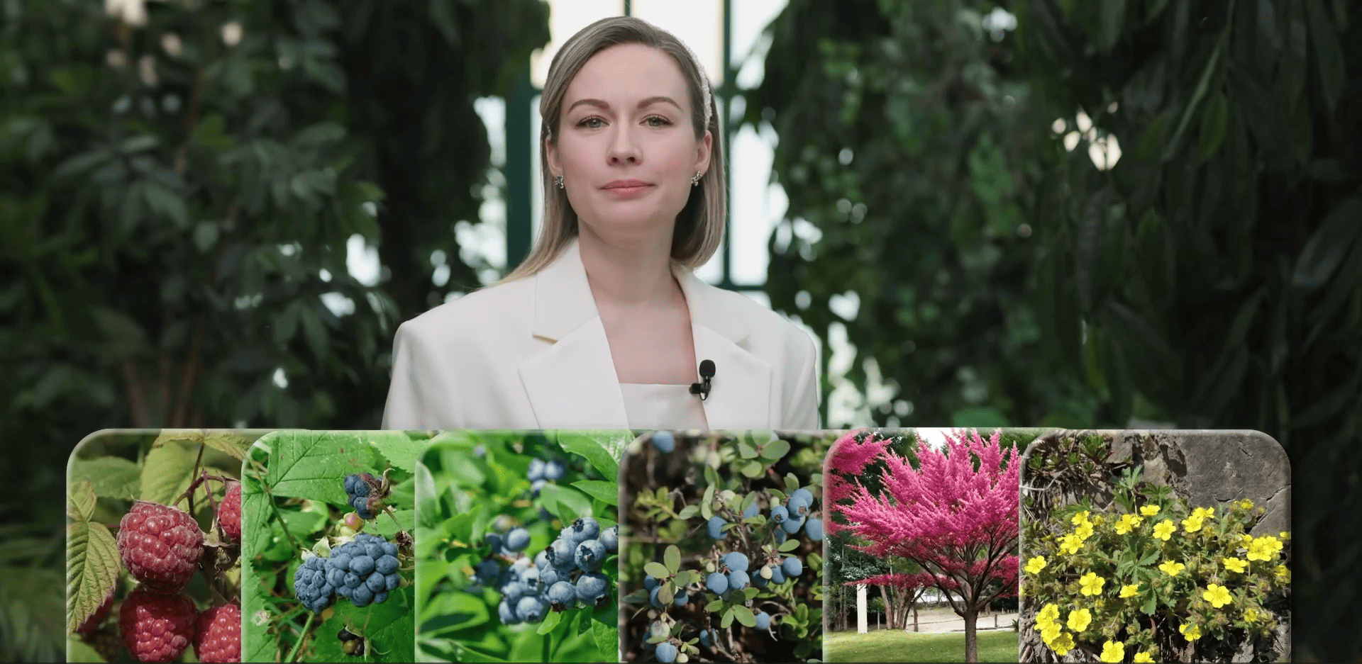 Екатрина Николаева