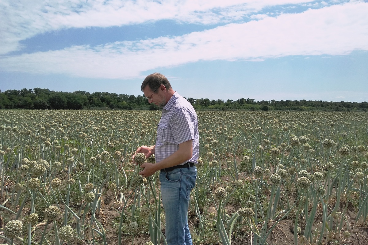 Фото из личного архива Александра Ховрина