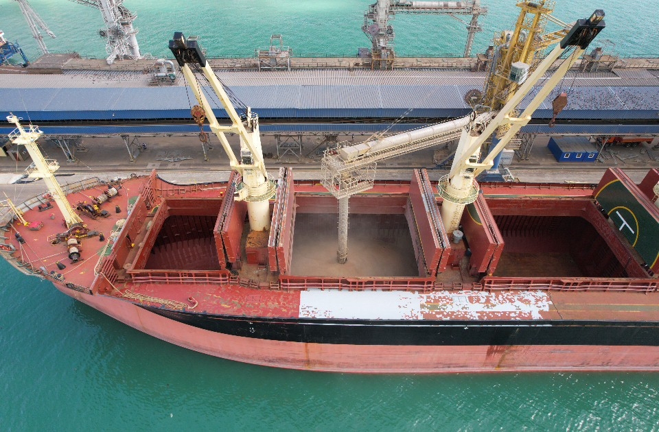 Фото: пресс-служба Новороссийского филиала ЦОК АПК