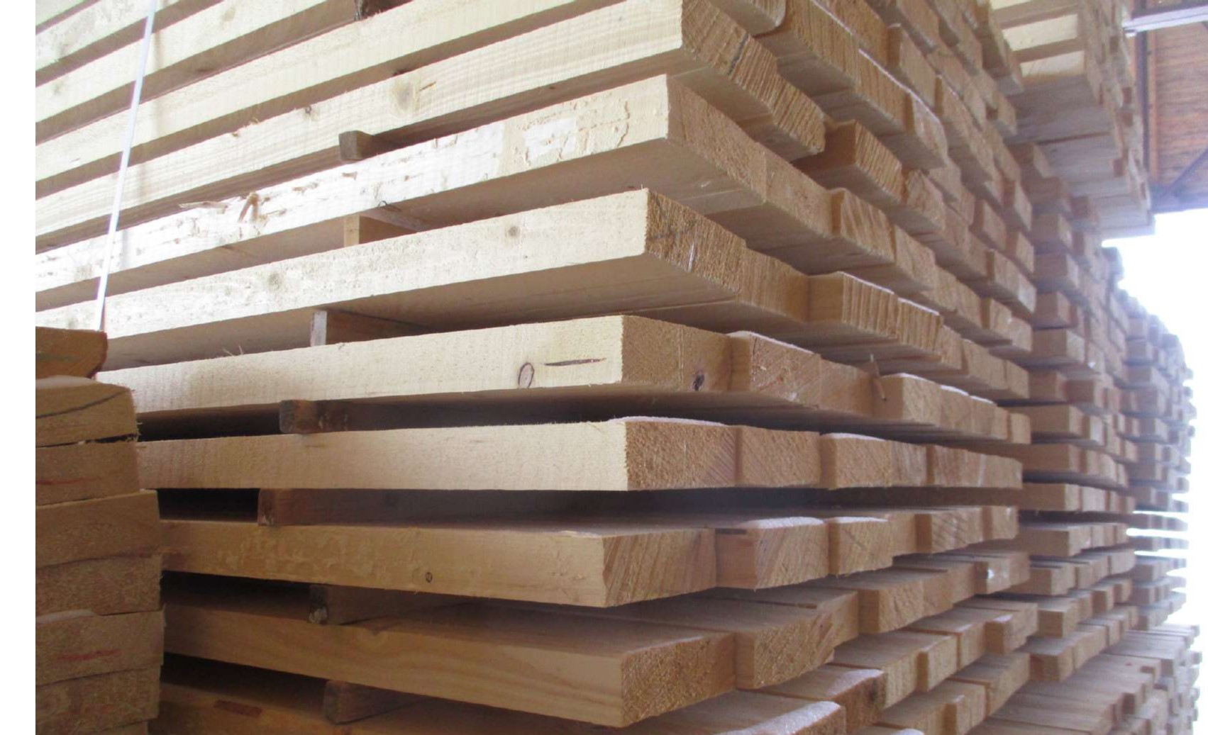 Фото: пресс-служба ФКП РФО