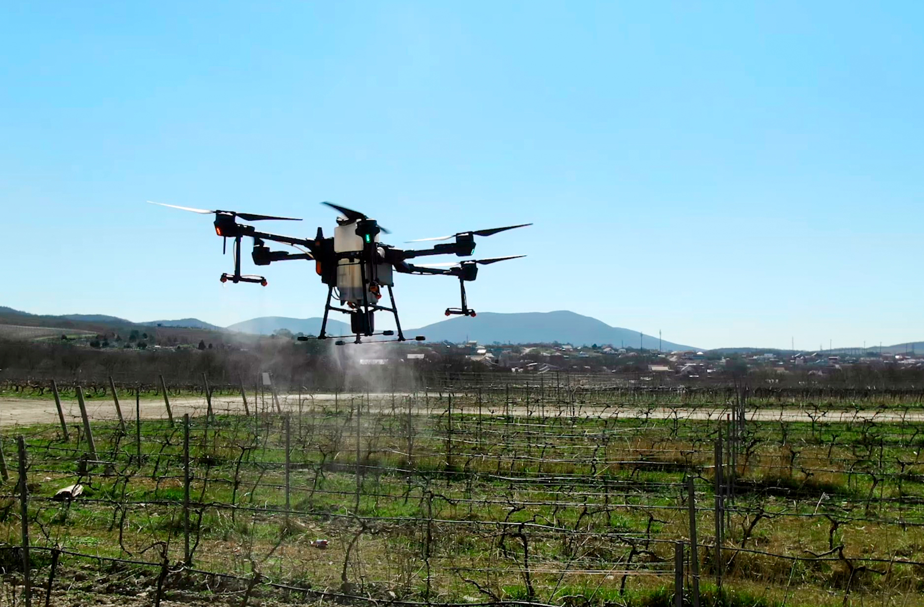 Фото: пресс-служба Новороссийского филиала ЦОК АПК