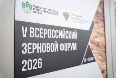 Рост мирового экспорта подсолнечного масла ожидается в сезоне 2026–2027
