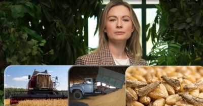 Зерновая моль: невзрачный вредитель запасов