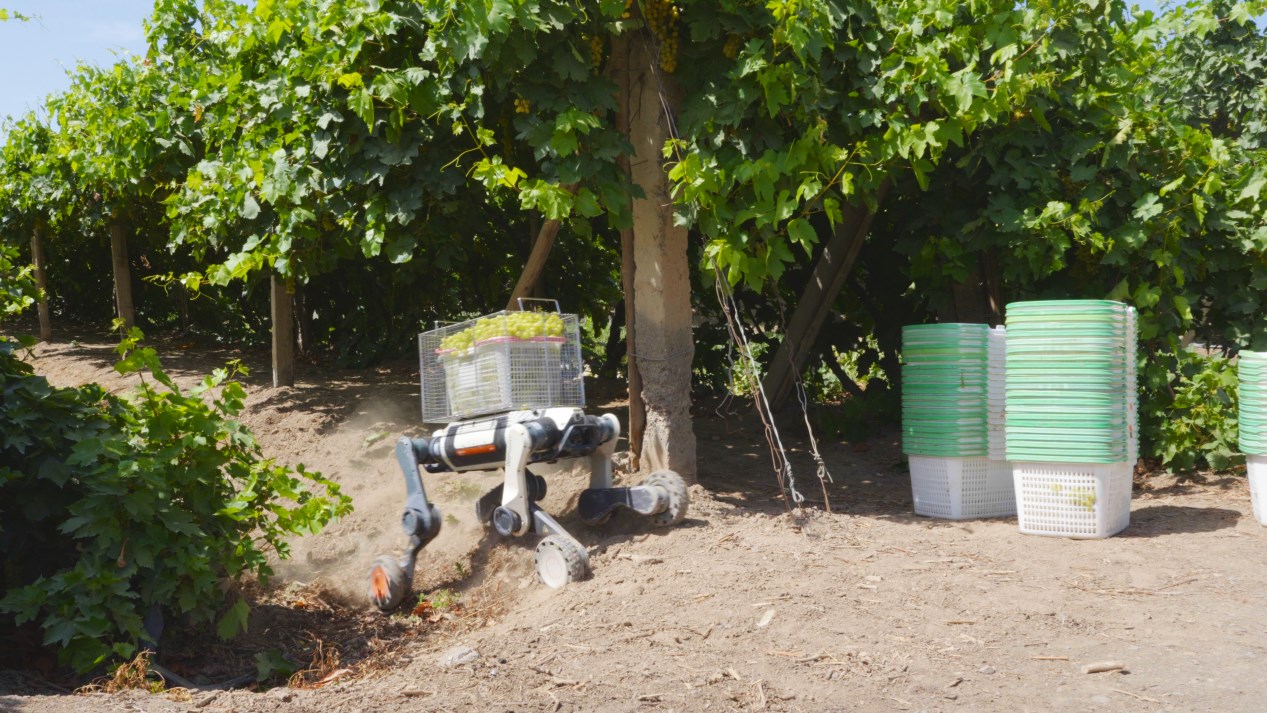 Фото: DEEP Robotics