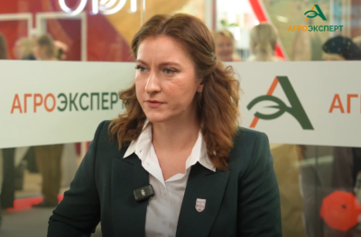Инвентаризация виноградников вскрыла бумажные плантации